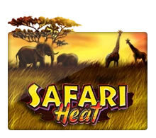 Joker123 : Safari Heat - MASURAPLAY77