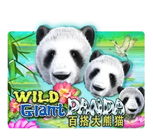 Joker123 : Wild Giant Panda - MASURAPLAY77