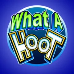 What A Hoot - MASURAPLAY77