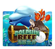 Joker123 : Dolphin Reef - MASURAPLAY77