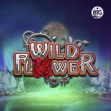 Bigtime : Wild Flower - MASURAPLAY77